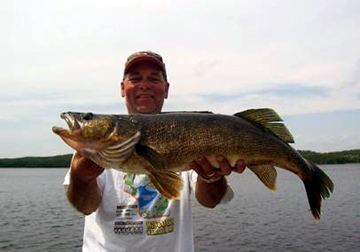 31" Walleye
