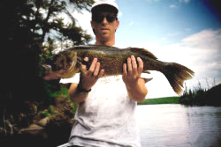 31 inch, 9lb Walleye