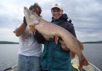 47.5 inch Northern Pike - Aug 11, 2005