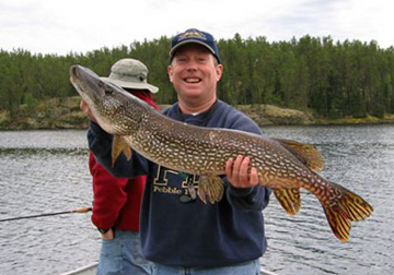 A Nice Northern Pike