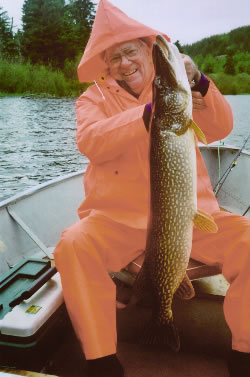 43 inch Pike caught on Roger Lake